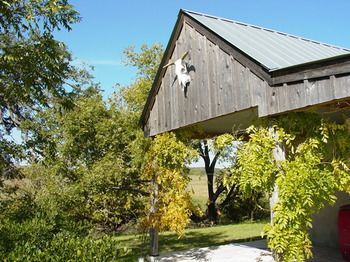 Back Forty Of Fredericksburg Bed & Breakfast Exterior photo
